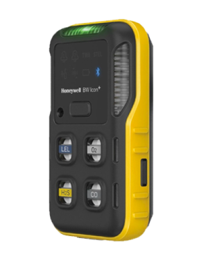 BW ICON PLUS